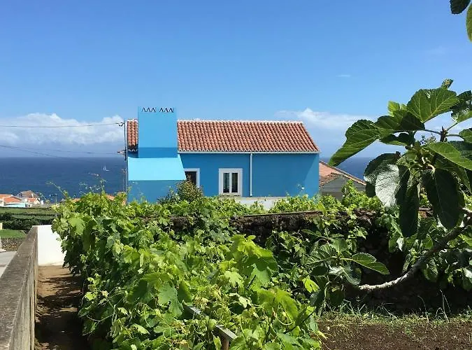 Casa Do Vizinho