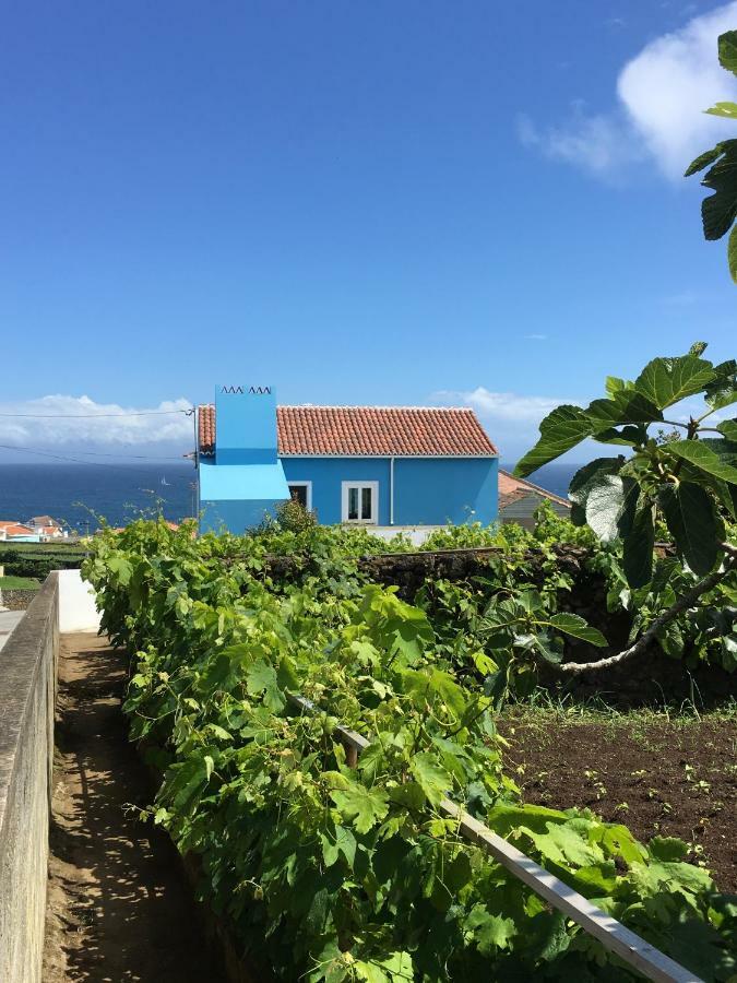 Casa Do Vizinho Hébergement de vacances *